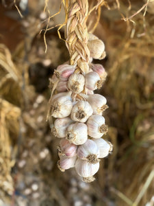 Garlic Braid